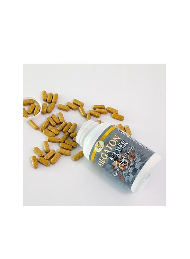 Natural Fervor Megaton Silver Super Multivitamin 30 Tablets - Image 2